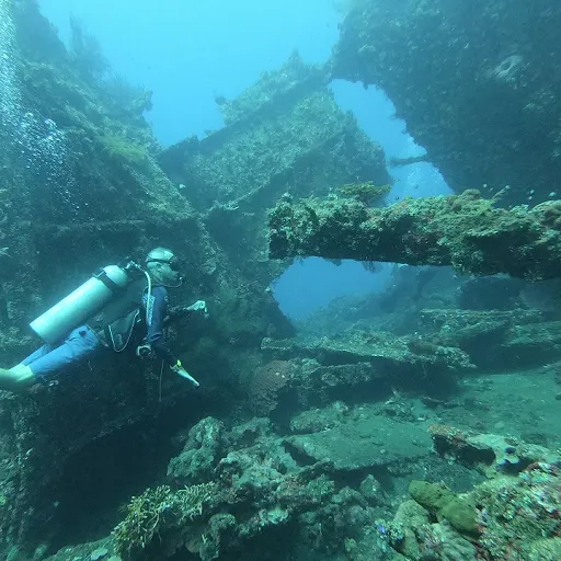 Dive Resort Diving La Vida Loca 2