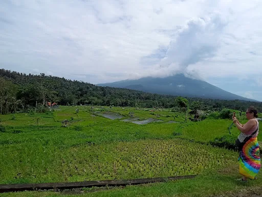 TAXI SERVICE & FAST BOAT to Gili - AIR, TRAWANGAN,MENO ANG LOMBOK 1