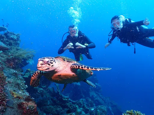 Oceanus Tulamben Dive | Dive Site 2