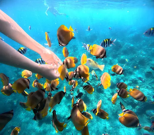 Jemeluk Bay snorkelling spot 1