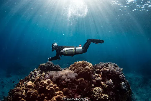 Trident Dive Indonesia 1