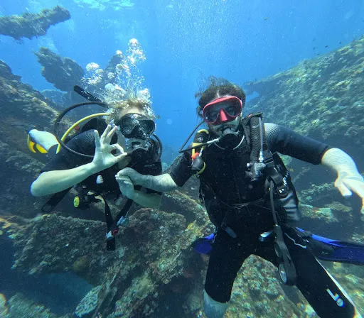 Seek & Dive 1