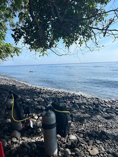 Seek & Dive 3