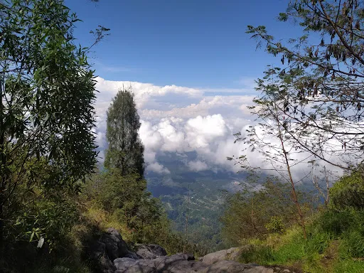 Campground Jalur Taman Edelweis 1