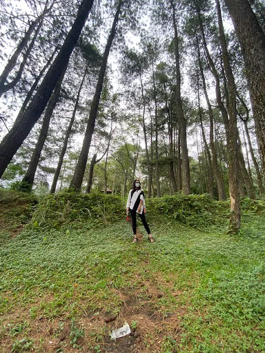 Pinus Nawakerti Camp Ground 1