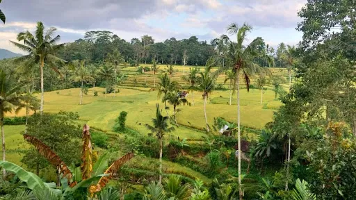 Pondok Sapta Sallaca 4