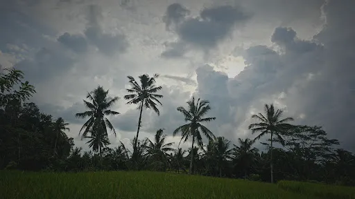 Puri Agung Inn 3