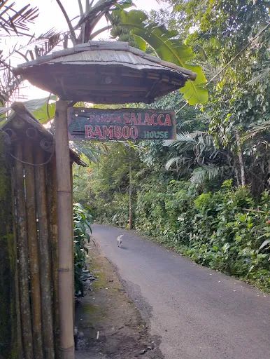 Salacca Inn 4
