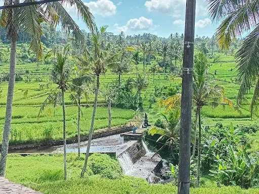 Warung Coffee Bali 4