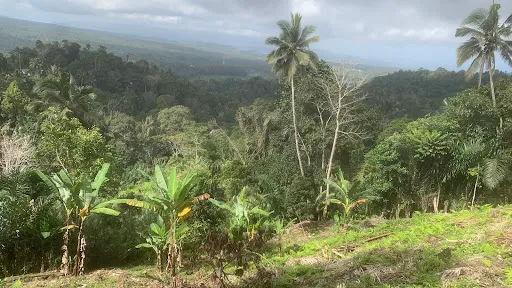 Pasar Sibetan 2