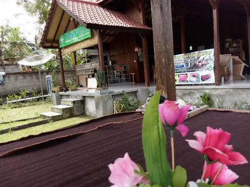 Bali Sibetan (BSVLC) 4