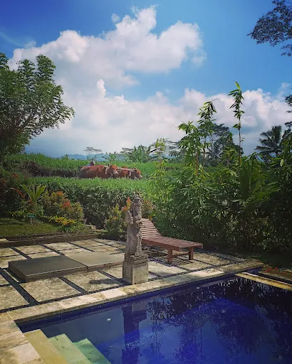 Jero Tumbuk Culture & Retreat 2