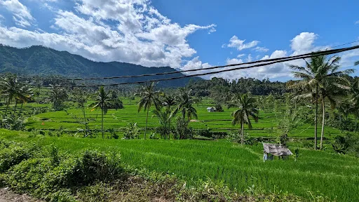 Warung Abian Tegal Rice Terrace 4
