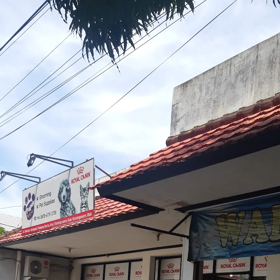 Papa Petshop 2