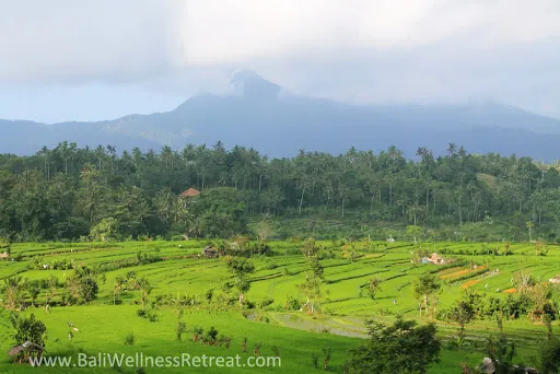 PANGI karangasem