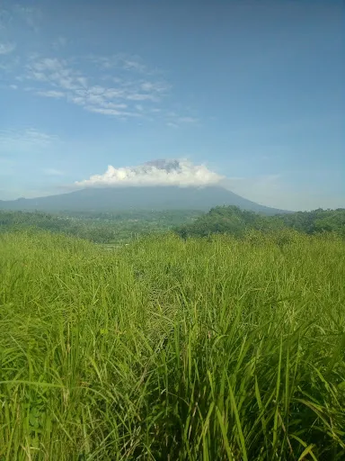 PANGI karangasem 1