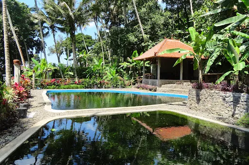 Pondok Lembah Dukuh Homestay 2