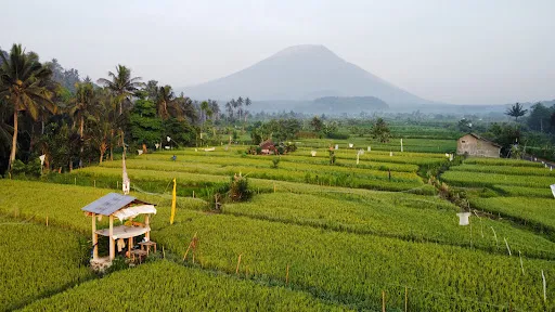 Cinggu view