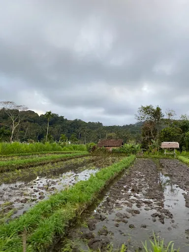 Cinggu view 1