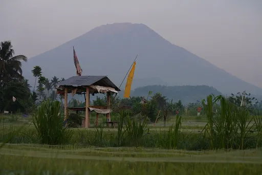 Cinggu view 2