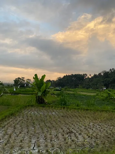 Cinggu view 3