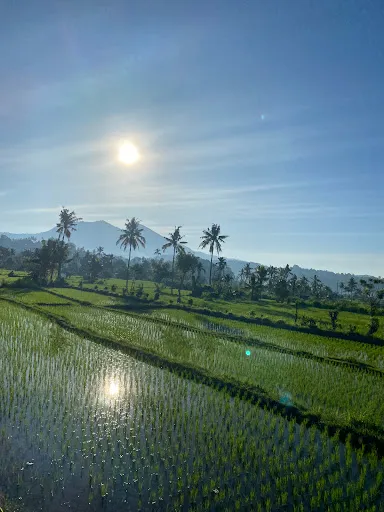 Cinggu view 4
