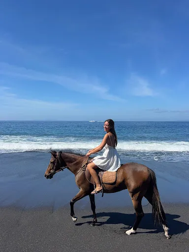 Horse Bali 2