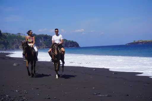Horse Bali 3
