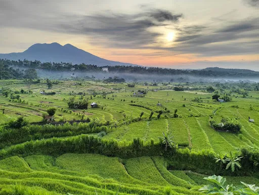 Warung Kopi BAWASARI 3