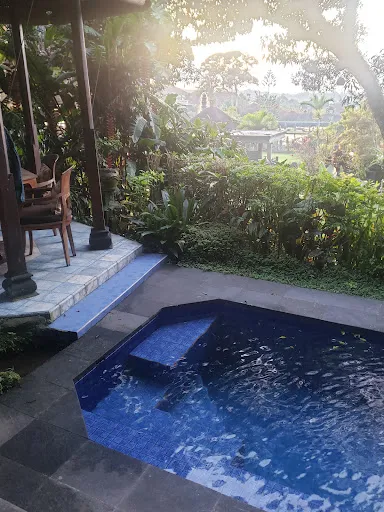 Hotel - Tirtagangga Water Palace Villas 2