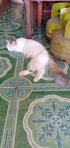 Warung pengkolan Senyum Anwar