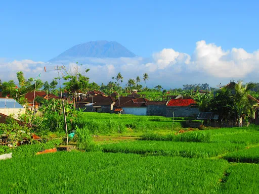 Penginapan Lahar Mas Inn 3