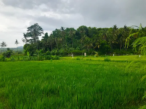 Pura Dalem Desa Jasri 2
