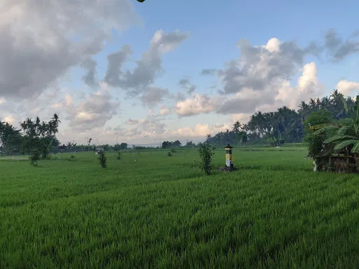 Villa Surya and Villa Chandra 3