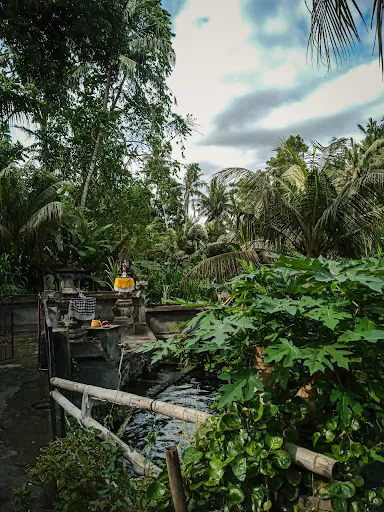 Pemandian Tirta Ujung 4
