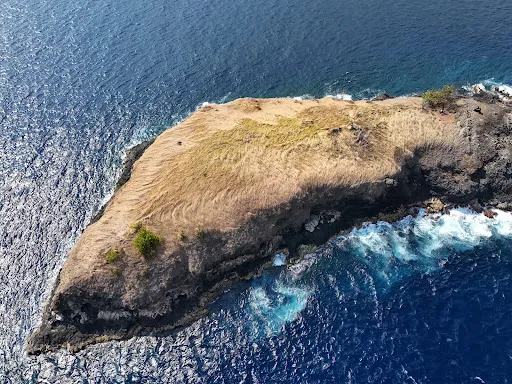 Pulau Paus 1