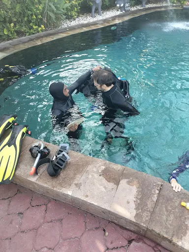 Bambu Divers