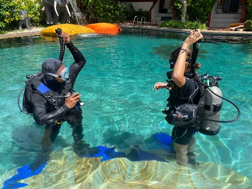 Bambu Divers 3