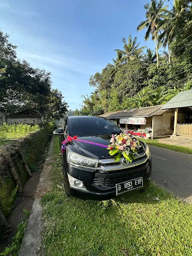 No Problem Transport 3