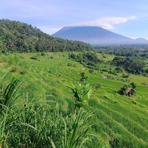 East Bali Transport 3