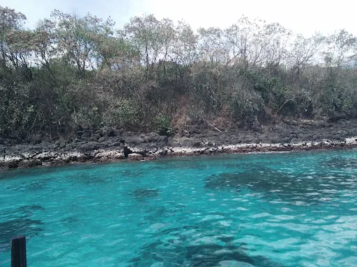 Snorkling Trip Center 3