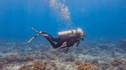 Deutsche Tauchbasis Water Worxx Dive Center Bali (Padang Bai) 2