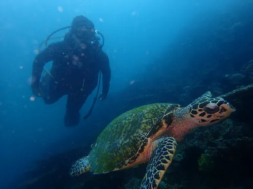 Padangbai Bali Dive