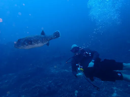 Padangbai Bali Dive 3