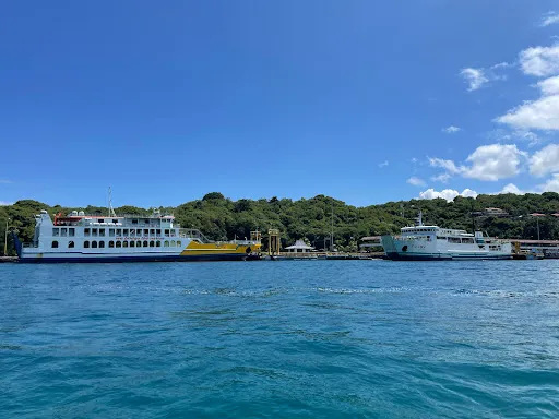 Blueoceandive - Snorkeling & Diving Bali 3