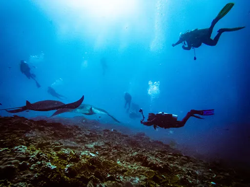 Diving Candidasa 1