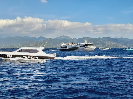 Wahana Virendra Fastboat 2