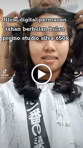 SILVA SALON 2 4
