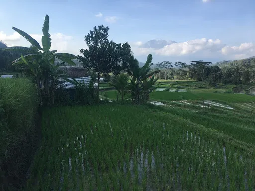 Ngongkong Hill Trekking 1