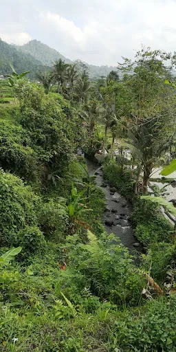 Ngongkong Hill Trekking 4